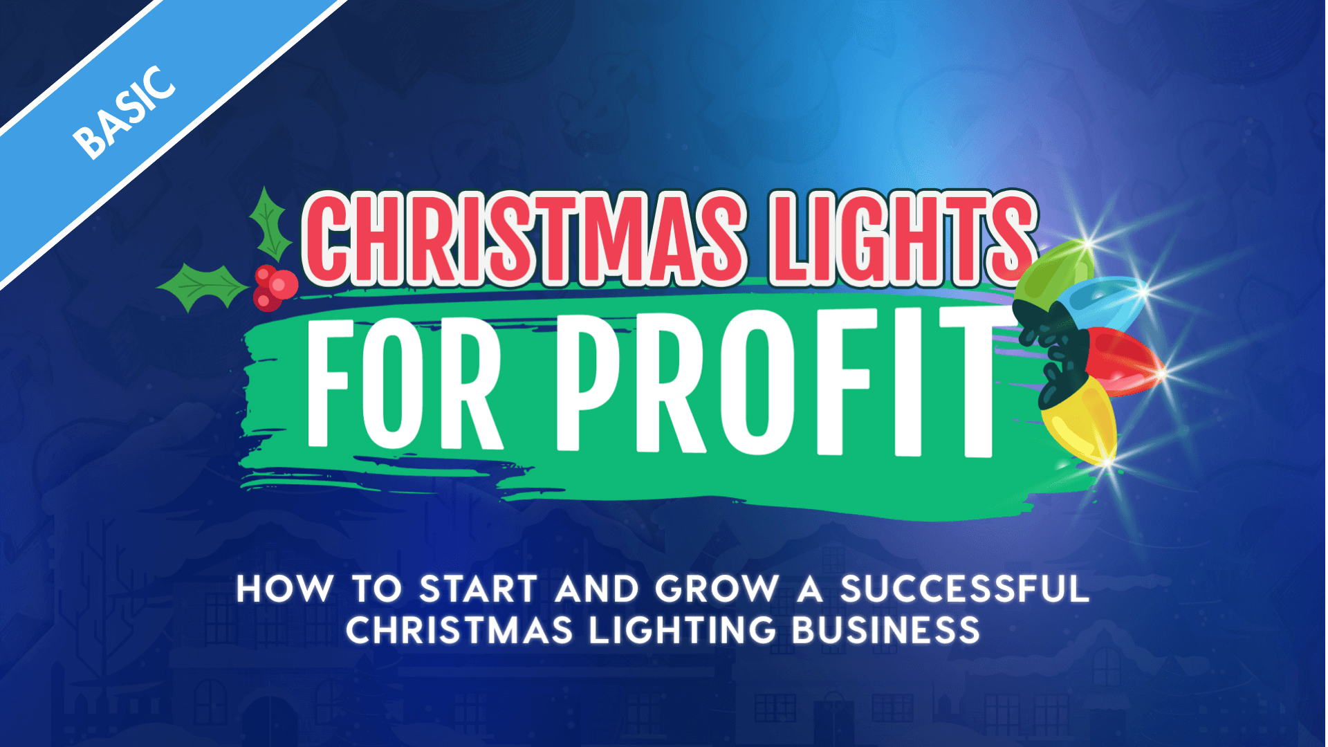 Christmas Lights for Profit Basic Course